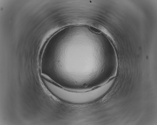 X0000065261088200603031822