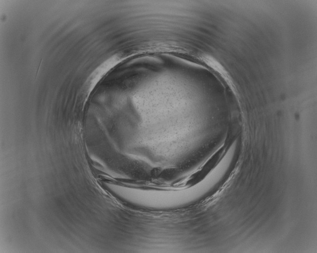 X0000065261089200603031822