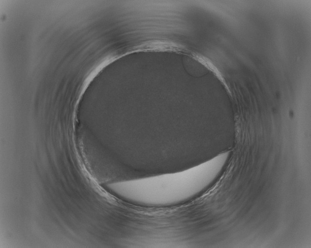 X0000065261091200603031822