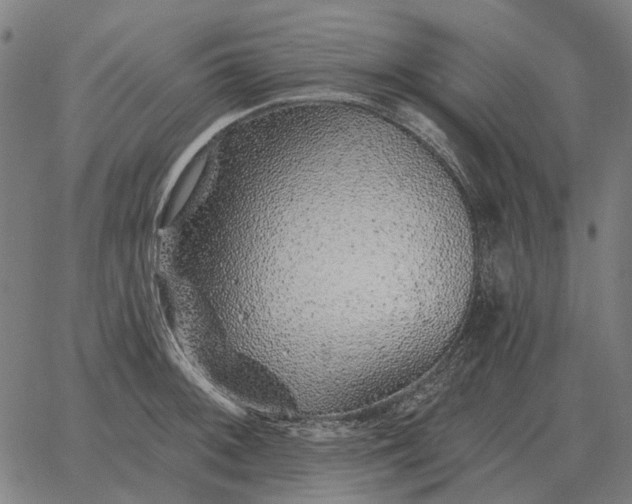 X0000065261092200603031822