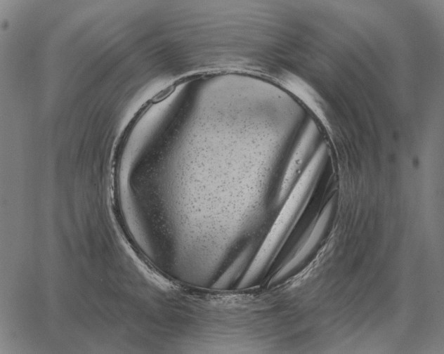 X0000065261093200603031822