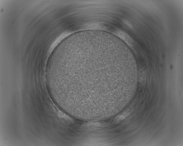 X0000065261094200603031822