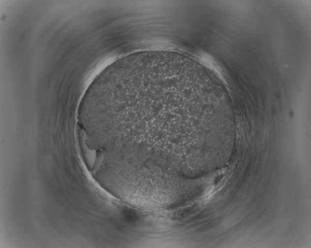 X0000065261095200603031822