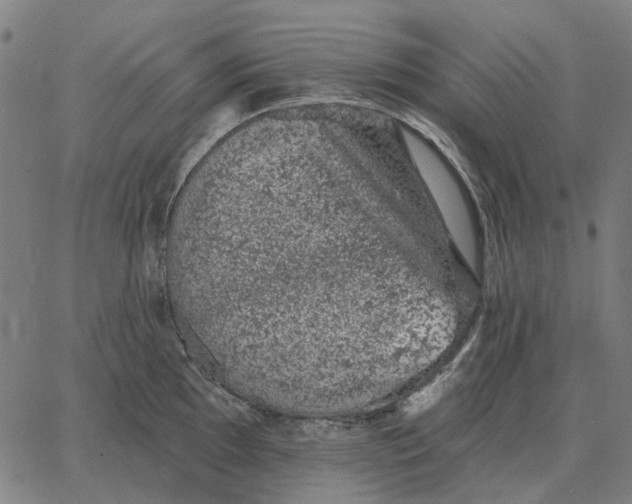 X0000065261097200603031822