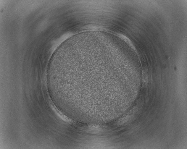 X0000065261098200603031822