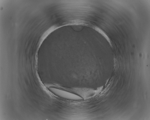 X0000065261099200603031822