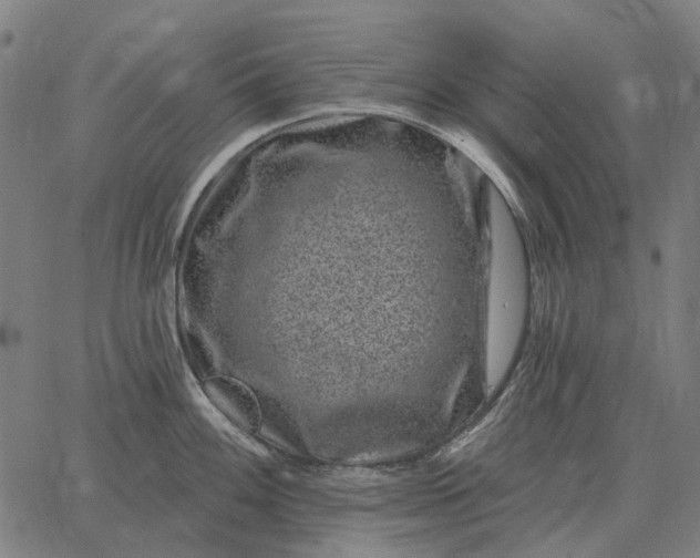 X0000065261100200603031822