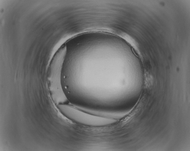 X0000065261102200603031822