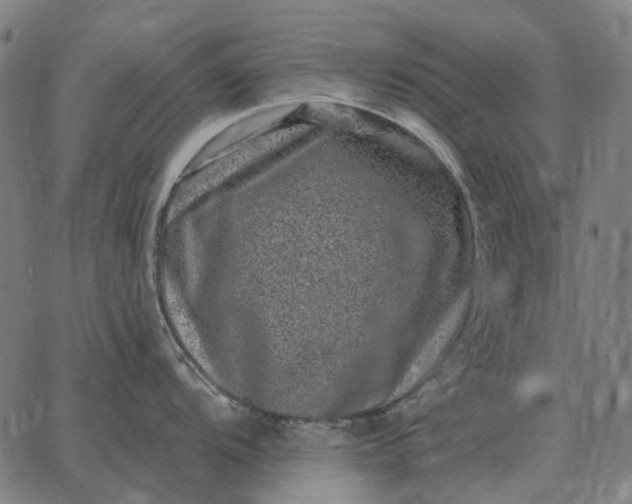 X0000065261104200603031822