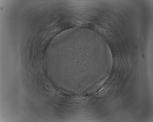 X0000065261105200603031821