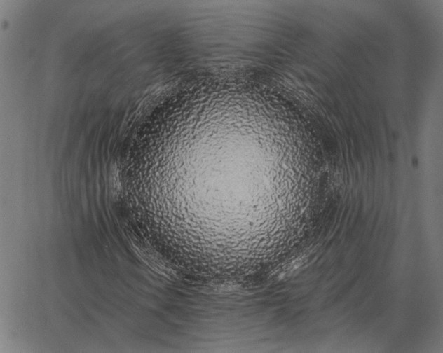 X0000065261106200603031821