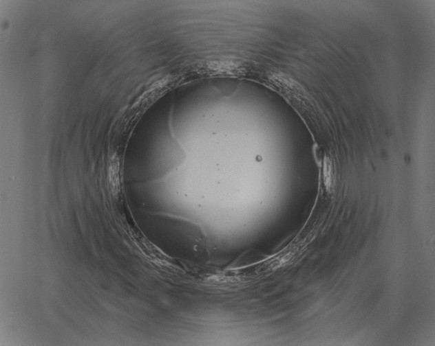 X0000065261107200603031821