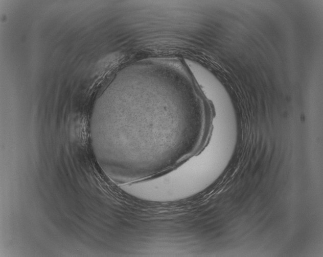 X0000065261108200603031821