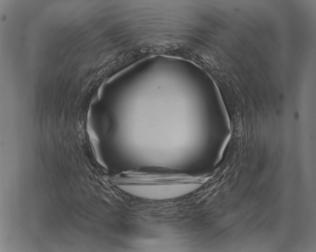 X0000065261109200603031821