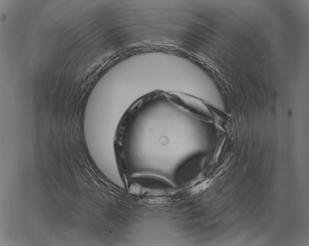 X0000065261110200603031821