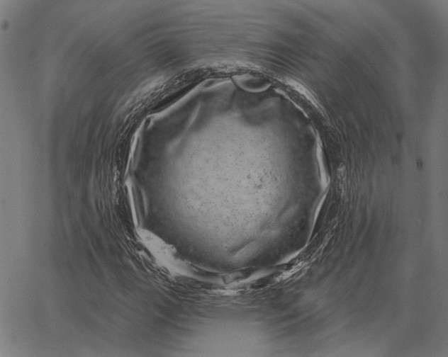 X0000065261111200603031821