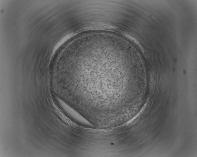 X0000065261114200603031821