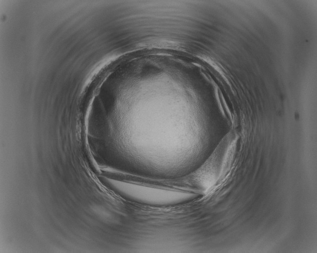 X0000065261115200603031821