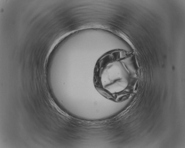 X0000065261116200603031822