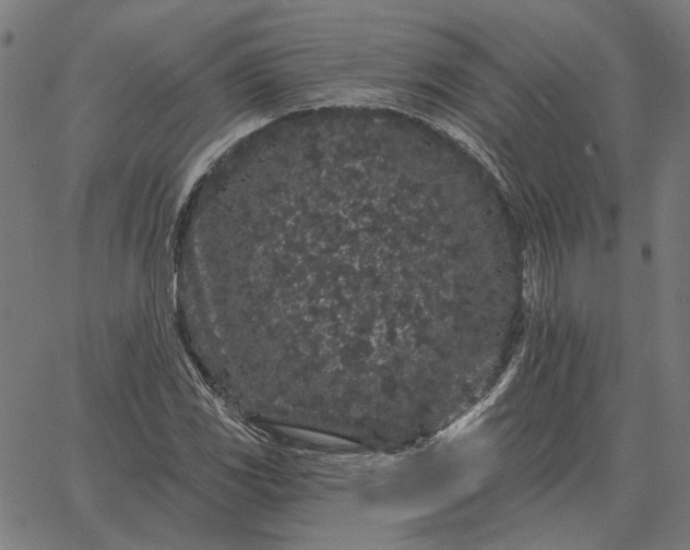 X0000065261117200603031822