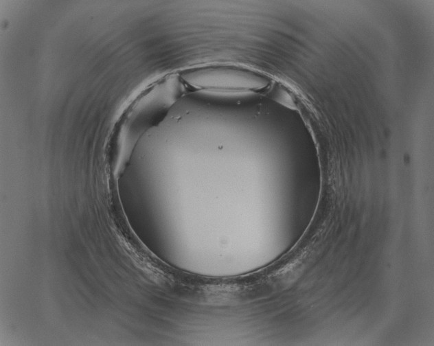 X0000065261118200603031822