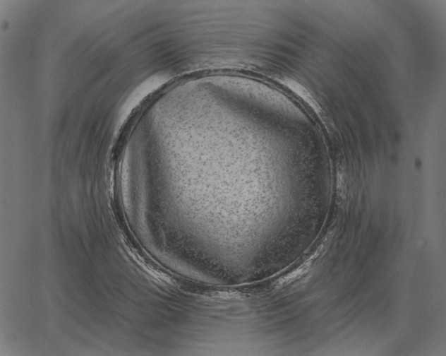 X0000065261119200603031822