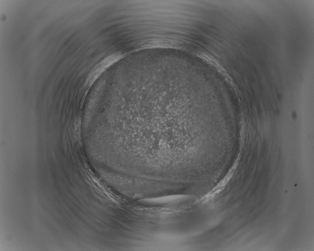 X0000065261121200603031822