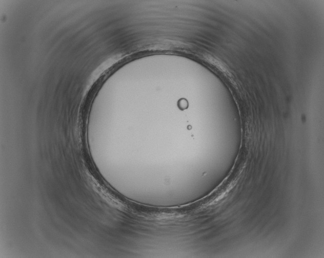 X0000065261122200603031822