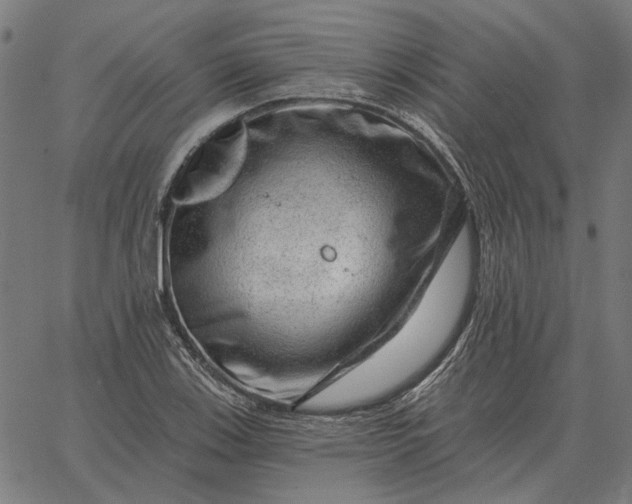 X0000065261123200603031822