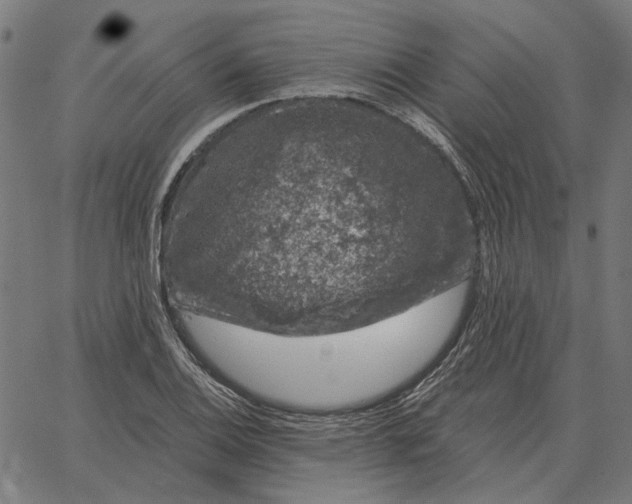 X0000065261124200603031822