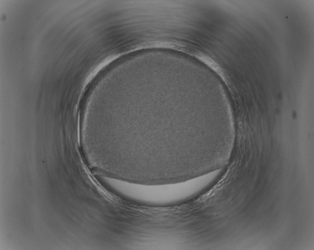 X0000065261127200603031822