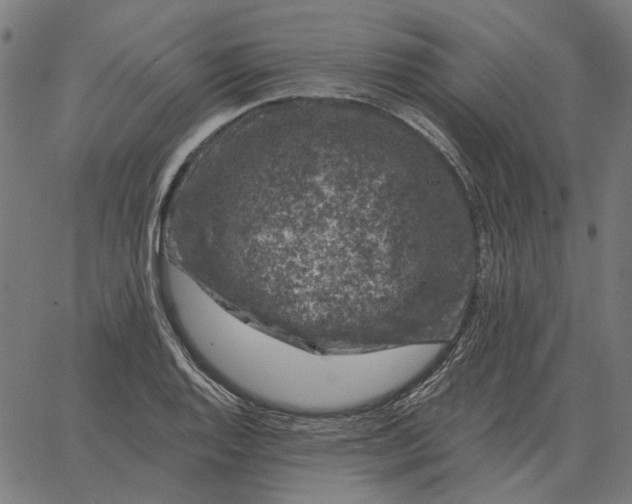 X0000065261128200603031822