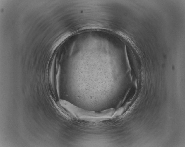 X0000065261129200603031822