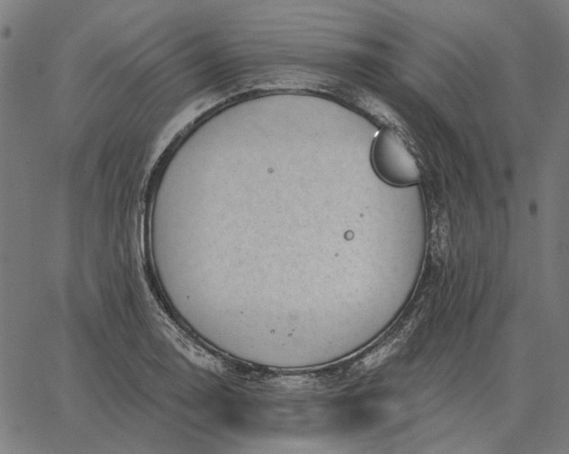 X0000065261130200603031822