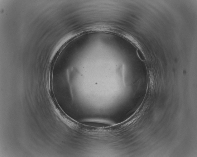 X0000065261131200603031822