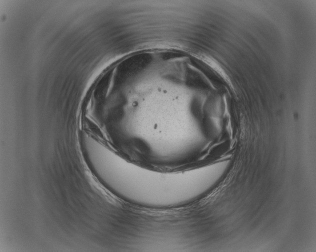 X0000065261132200603031822