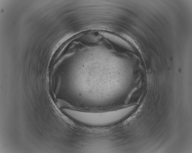 X0000065261133200603031822