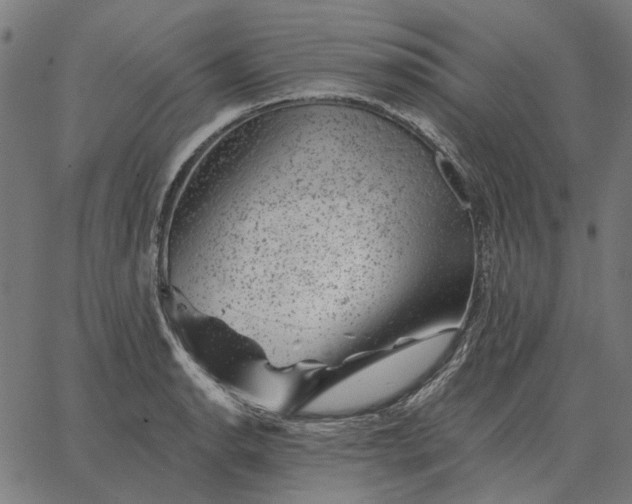 X0000065261134200603031822