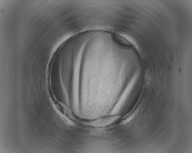 X0000065261135200603031822