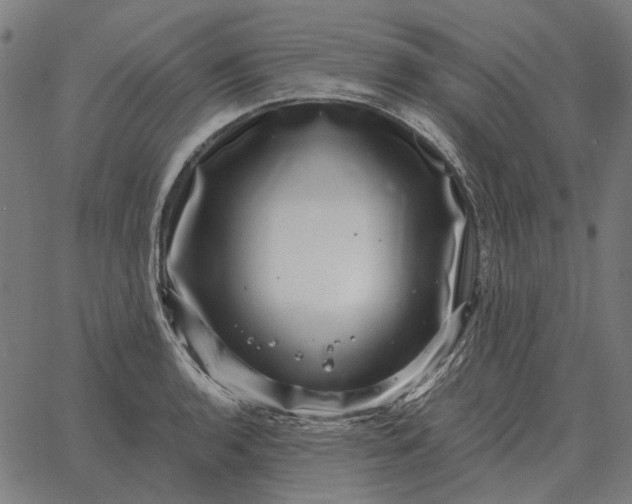 X0000065261136200603031822