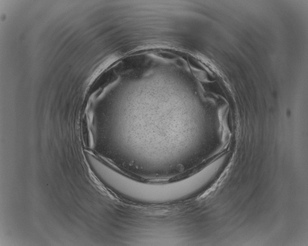 X0000065261137200603031822