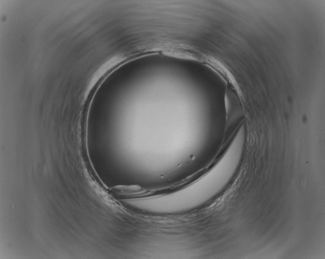 X0000065261138200603031822