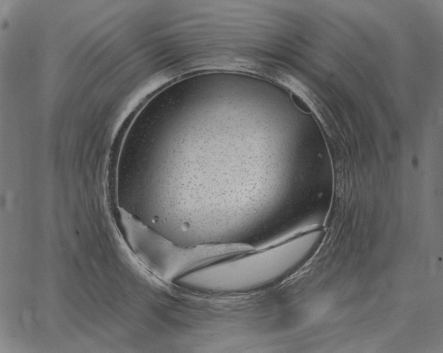 X0000065261139200603031822