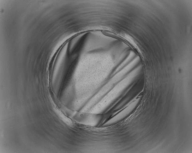 X0000065261140200603031822