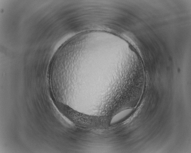 X0000065261141200603031822