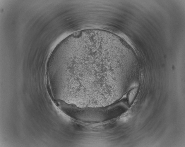 X0000065261143200603031822