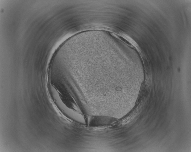 X0000065261144200603031822