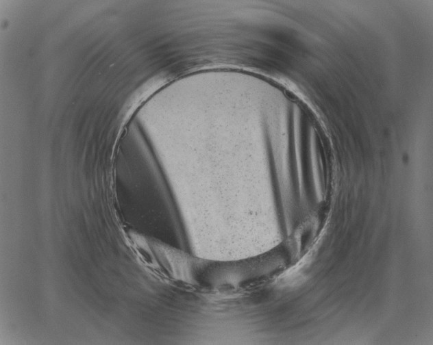 X0000065261145200603031822