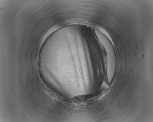 X0000065261146200603031822