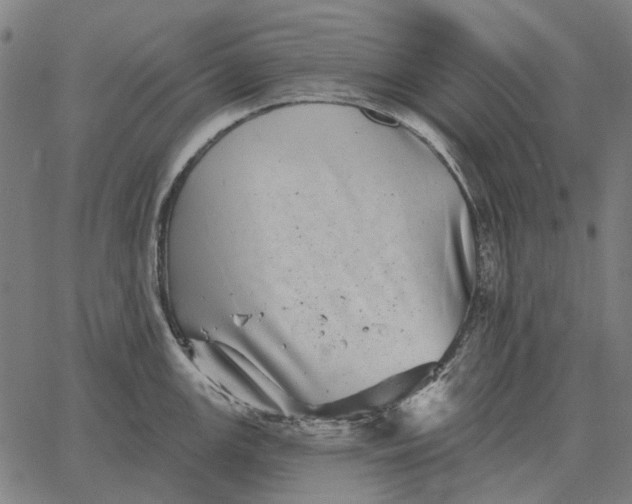 X0000065261147200603031822